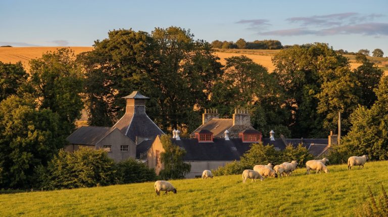 Glendronach Distillery Tours